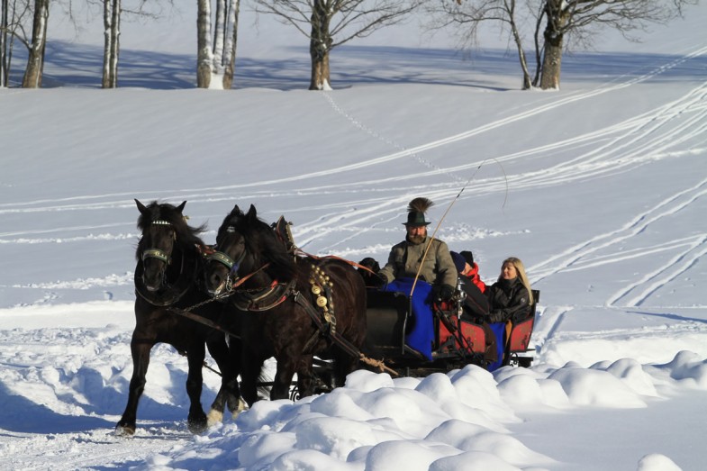 Pferdeschlittenfahrt im Winter © Austria Steiner